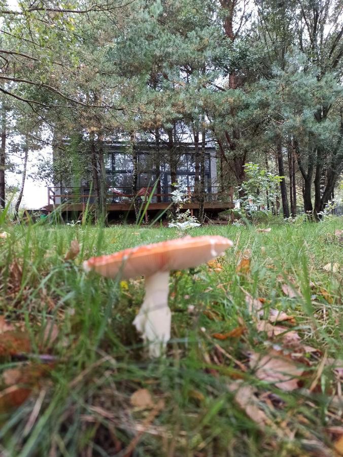 Luksusowy- Nowoczesny Dom W Lesie Villa Kowalewo Kültér fotó